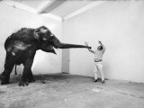 Life Photographer Arthur Schatz with Elephant While Shooting Story on the Franklin Park Zoo Premium Photographic Print by Arthur Schatz