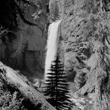 Lower Waterfall of the Yellowstone River in Yellowstone National Park Photographic Print by Alfred Eisenstaedt