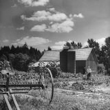 Patricia Colleen Altree Working in the Vegetable Garden Photographic Print by J. R. Eyerman