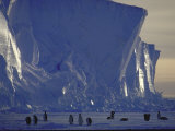 Adelie Penguins, Antarctica Photographic Print by Michael Rougier