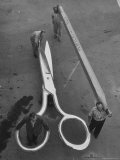 Stagehands Pushing a Pair of Gigantic Scissors on a Dollie Next to Two Men Carrying a 21 Ft. Pencil Premium-Fotodruck von Allan Grant
