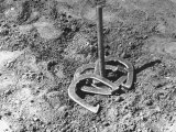 Horseshoe Pitching Premium Photographic Print by Rex Hardy Jr.