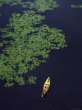 Aerial View of Man Canoeing in Lily Padded Lake in the Upper Peninsula Photographic Print by John Olson