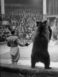 Dancing Bear at the Circus Premium Photographic Print by Thomas D. Mcavoy