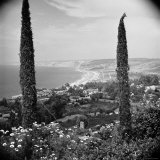 Garden Overlooking the California Pacific Coastline Photographic Print by Nina Leen