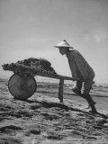 Chinese Coolie Hauling Dirt For a Dike Premium Photographic Print by George Silk Chinese Coolie Hauling Dirt For a Dike Premium Photographic Print by George Silk