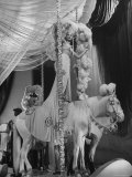 Chorus Girl Standing on Horse's Back During Filming of the Movie "The Ziegfeld Follies" Premium Photographic Print by John Florea