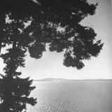 View of Northern Puget Sound Photographic Print by Peter Stackpole