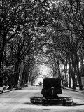 Cours Mirabeau, One of the Main Avenues in Aix En Provence Photographie par Gjon Mili