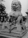 Boy Sitting in the Lap of a Stone Lion Photographie par George Lacks
