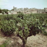 Vineyard and Village Along Rhone Near Avignon Photographic Print by Gjon Mili