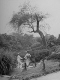 Japanese Man and Wife Strolling Through Hibiya Park Premium Photographic Print by John Florea