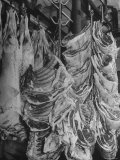 Big Pieces of Meat Hanging in the Wholesaler's Shop Photographic Print by Al Fenn