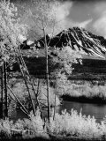 Deazdeash Mountains and River in the Yukon Territory Premium Photographic Print by J. R. Eyerman