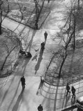 Afternoon Sunlight Casting Long Shadows in Washington Square Park Premium Photographic Print by Yale Joel