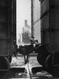 Wartime Railroad: Yemassee Junction Crossover, Atlantic Coast Line, Charleston and Western Carolina Premium Photographic Print by Alfred Eisenstaedt