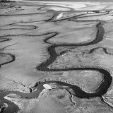 Dark and Light Sand Forming Swirling Pattern Photographic Print by Fritz Goro