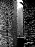 Man Standing in the Lumberyard of Seattle Cedar Lumber Manufacturing Fotografie-Druck von Alfred Eisenstaedt