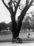 Couple Embracing in a Passionate Moment on the Bench in Hyde Park Lámina fotográfica de primera calidad por Cornell Capa Couple Embracing in a Passionate Moment on the Bench in Hyde Park Lámina fotográfica de primera calidad por Cornell Capa