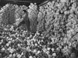 Chianti Flasks in Storeroom of the Baron Ricasoli Vineyards Premium Photographic Print by Alfred Eisenstaedt