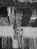 Fur Coats Hanging from Ceiling of Fur Shop Premium Photographic Print by Alfred Eisenstaedt Fur Coats Hanging from Ceiling of Fur Shop Premium Photographic Print by Alfred Eisenstaedt