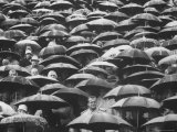 Fans, Sitting in Rain, at Purdue Homecoming Game Photographic Print by Francis Miller