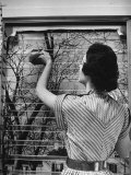Housewife Cleaning Glass Window Slats Photographie par Gordon Parks