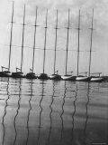 International One Design Class Boats at Long Island Sound Marina Premium Photographic Print by Bob Gomel