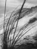 Dunes in the Cape Cod National Park Photographic Print by Ralph Morse