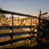 Excellent Detail of a Fieldstone Fence, a Good Example of Early American Masonry Photographic Print by Walker Evans