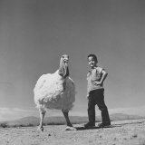 60 lb. Hybrid Turkey with 35 lb. Donny Bigfeather Photographic Print by Ralph Crane