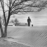 Farm Land in Drought Stricken Area, Barren Land Premium Photographic Print by Joe Scherschel Farm Land in Drought Stricken Area, Barren Land Premium Photographic Print by Joe Scherschel