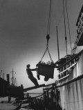 Fish Being Unloaded at Docks Photographie par Gordon Parks