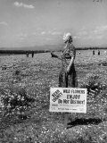 Sign Warning Visitors That They May Only Pick a Few of the Commonest Flowers Premium Photographic Print by J. R. Eyerman