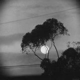 Moon over the California Coast After Russians Sent Rocket with Payload to Moon Photographic Print by Ralph Crane
