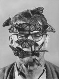 Butterfly Breeder Carl A. Anderson with Monarch Butterflies on His Face Premium Photographic Print by John Dominis