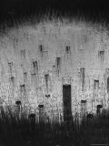 Hundreds of Test Tubes Set Up to Symbolize the Lengthy Search For Polio Vaccine Premium Photographic Print by Andreas Feininger