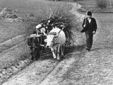 View of a Man Walking with a Cart Full of Wood Premium-Fotodruck von William Vandivert