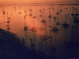 Oil Rigs Dating from the 1920's Dot the Shallows of Galveston Bay Premium Photographic Print by Ralph Crane