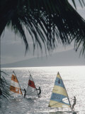 Wind Surfers at Waihikula, Maui Reproduction photographique sur papier de qualité par Ted Thai