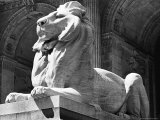 Stone Lion in Front of the New York Public Library Premium Photographic Print by Alfred Eisenstaedt
