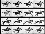 Photographer Eadweard Muybridge's Study of a Horse at Full Gallop in Collotype Print Photographie par Eadweard Muybridge
