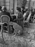 Woman Sitting with Her Pet Ocelot Having Tea at Bois de Boulogne Cafe Premium Photographic Print by Alfred Eisenstaedt
