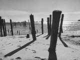 Provincetown Fishing Fleet in Cape Cod Bay Photographie par Eliot Elisofon