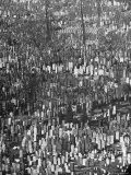 Masses of Tombstones in Cemetery in Queens Photographic Print by Andreas Feininger