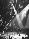 Typical Scene at Circus Premium Photographic Print by Marie Hansen