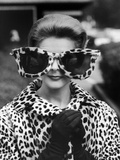 Model June Pickney Sporting Leopard Fur Coat and Huge Leopard Fur Rimmed Sunglasses Photographic Print by Stan Wayman