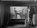 Records Being Played in Vertical Position by the Select-O-Matic Phonograph Premium Photographic Print by George Skadding Records Being Played in Vertical Position by the Select-O-Matic Phonograph Premium Photographic Print by George Skadding