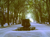 Plane Trees Shade Wide Boulevard of Cours Mirabeau in Aix En Provence Photographic Print by Gjon Mili