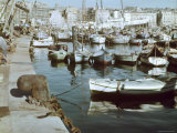 Small Fishing Boats Moored in Vieux Port of Marseilles Premium Photographic Print by Gjon Mili